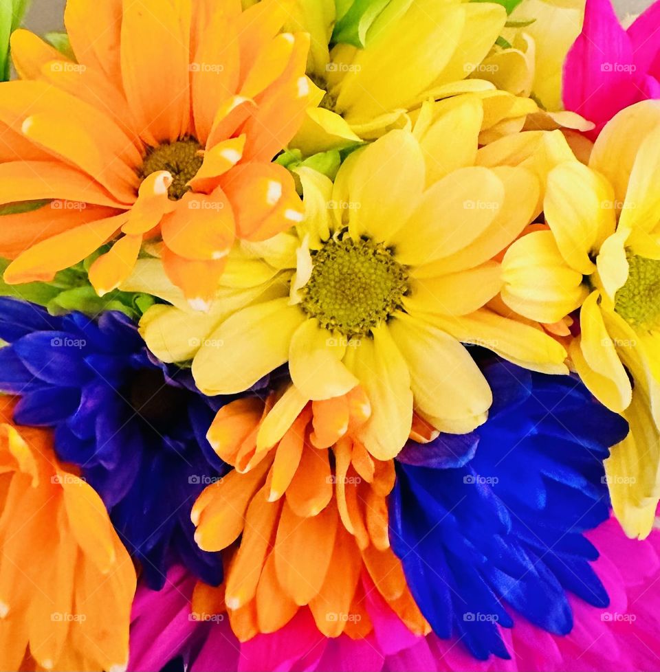 YELLOW, ORANGE, PINK AND YELLOW FLOWERS