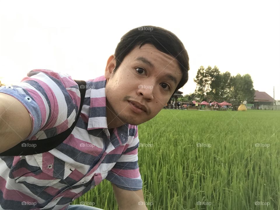 Green nature by rices