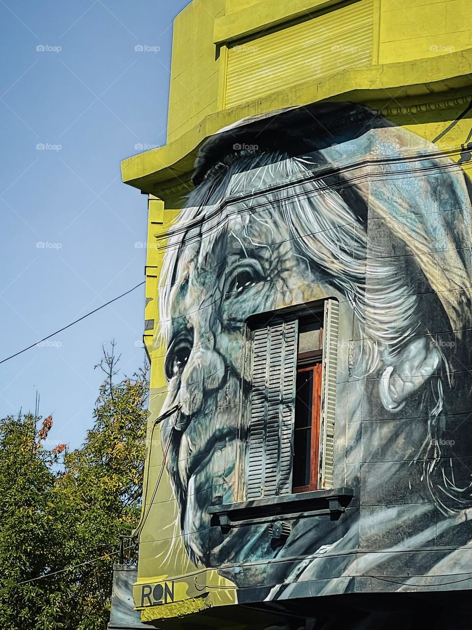 Street Art at Palermo SOHO, Buenos Aires (by RON muralist)