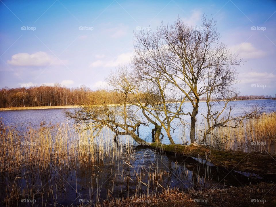 autumn on the lake