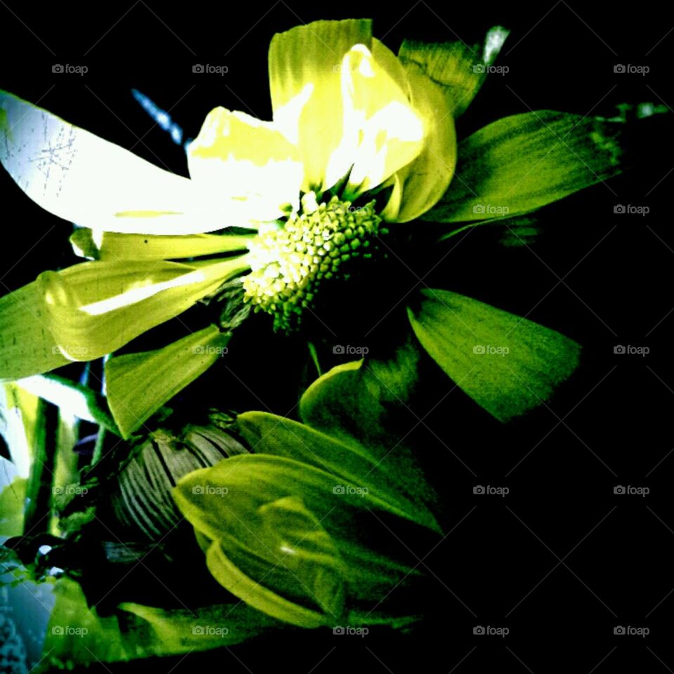 elegance. lighting effects