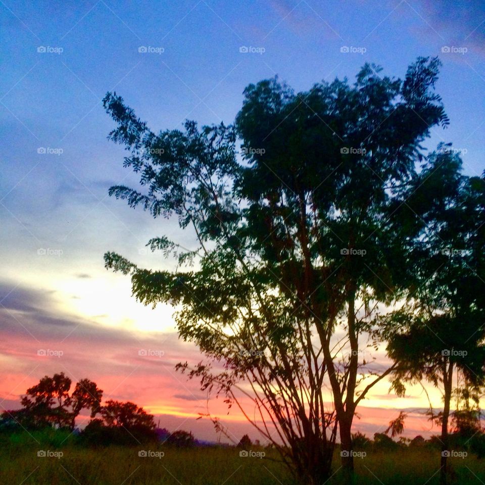 🌄🇺🇸 An extremely beautiful dawn in Jundiaí, interior of Brazil. Cheer the nature! / 🇧🇷 Um amanhecer extremamente bonito em Jundiaí, interior do Brasil. Viva a natureza! 