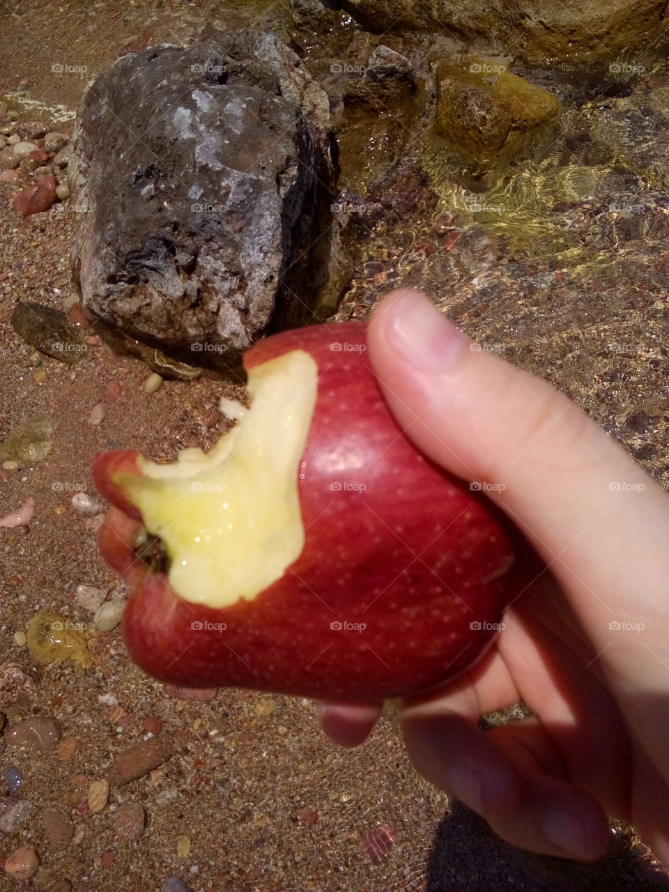 Apple at the Beach
