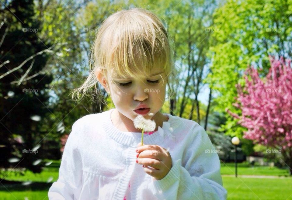 Blowing dandelions