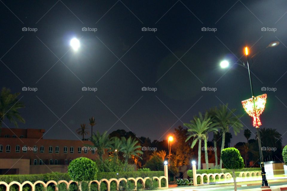Street lights and Moonlight and sparkling trees