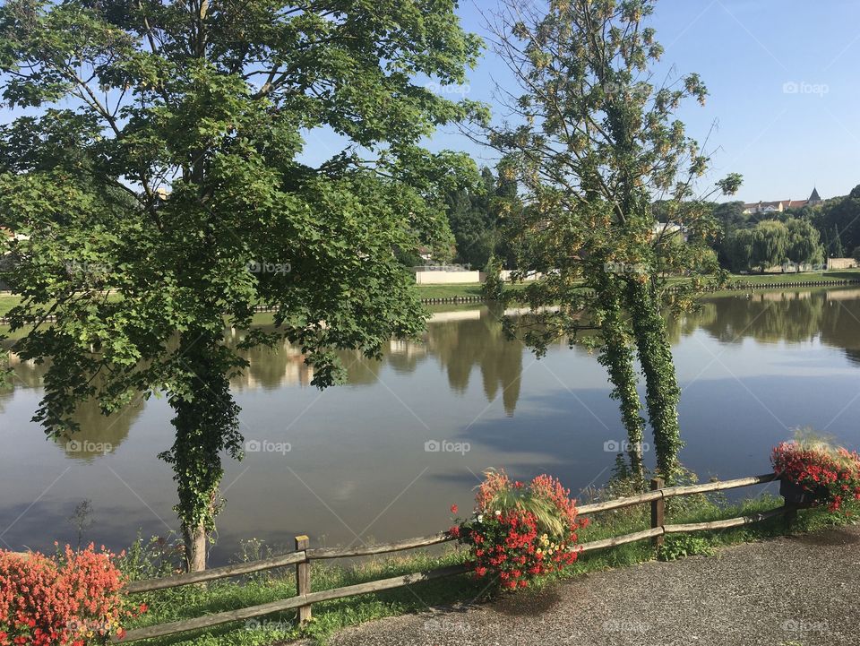 Walk along the river