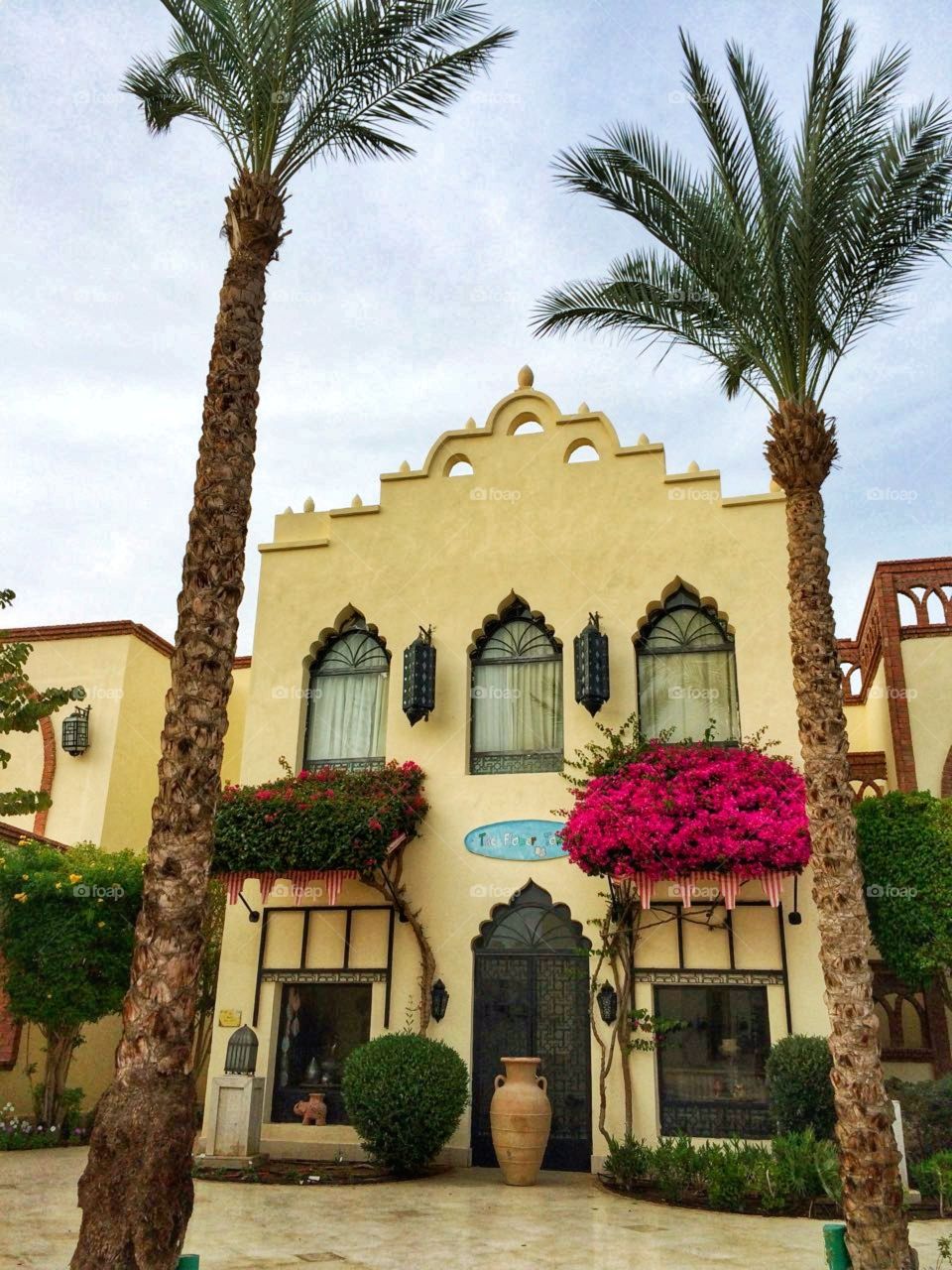 palm, Grand Hotel Sharm el Sheik, house