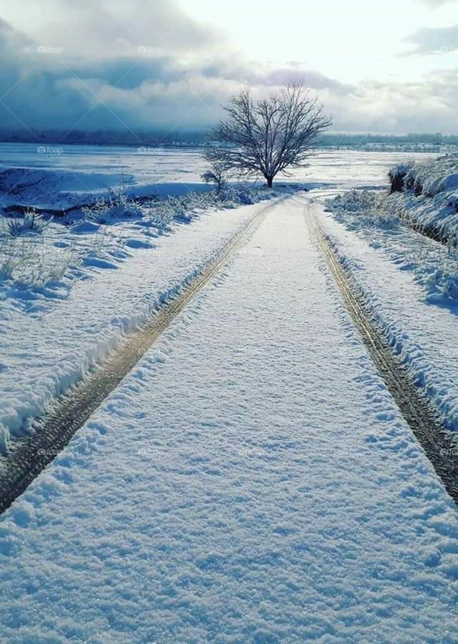 snowfall on the road