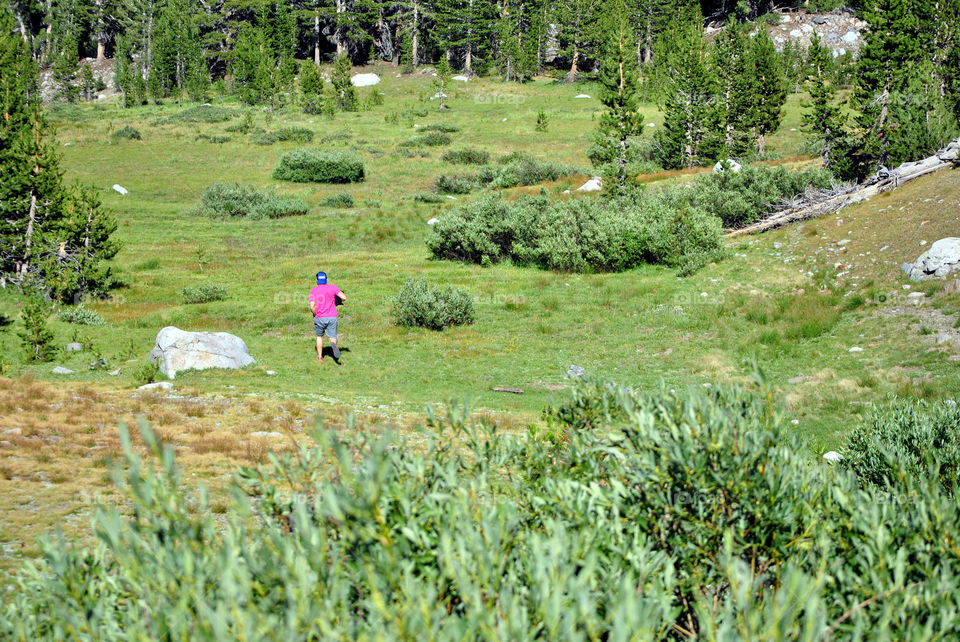 Man running in the wilderness