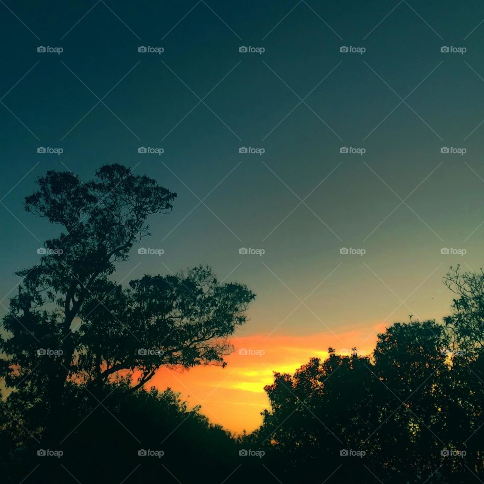 🌅 Desperte, #Jundiaí.
Que a sexta-feira possa valer a pena!
🍃📸🙌🏻
#FOTOGRAFIAéNOSSOhobby
#sky #céu #photo #nature #morning #alvorada #natureza #horizonte #fotografia #pictureoftheday #paisagem #inspiração #amanhecer #mobgraphy #mobgrafia