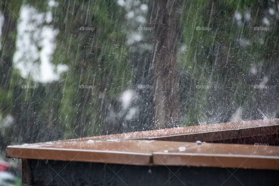 Rainy Day