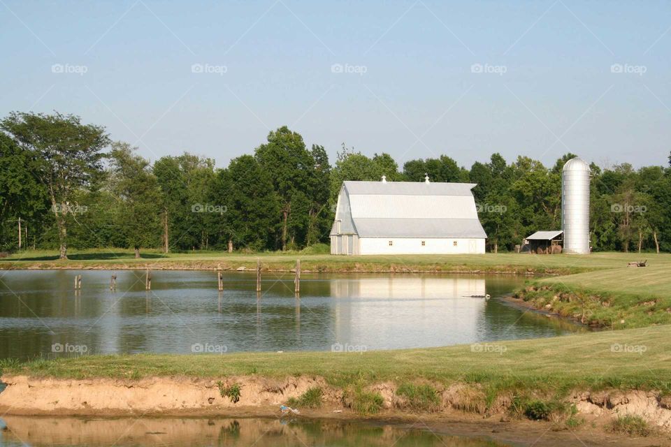 Farm landscape of a barn and silo by a pond.