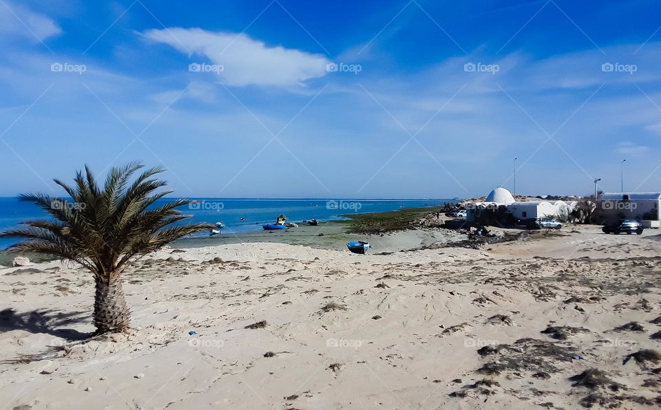 Side view of the Sidi Salem Mosque, located on the seashore in a traditional fishing port
In front of the mosque stands a palm tree, the symbol of the Tunisian island of Djerba