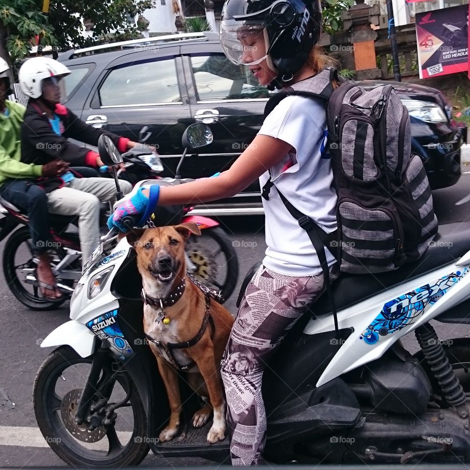 ride fun . bali is famous by many beautiful beaches and it's common for us to bring along our pets especially dogs at the beach and seems they are enjoying too 