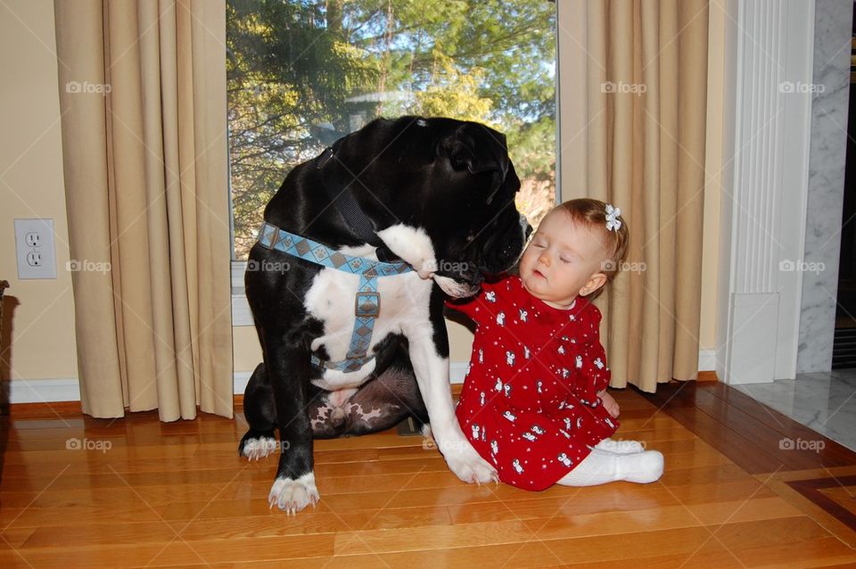 Big dog little baby 