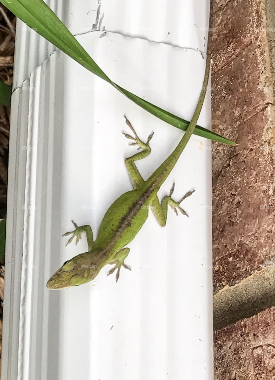 I feel like this color doesn't work here