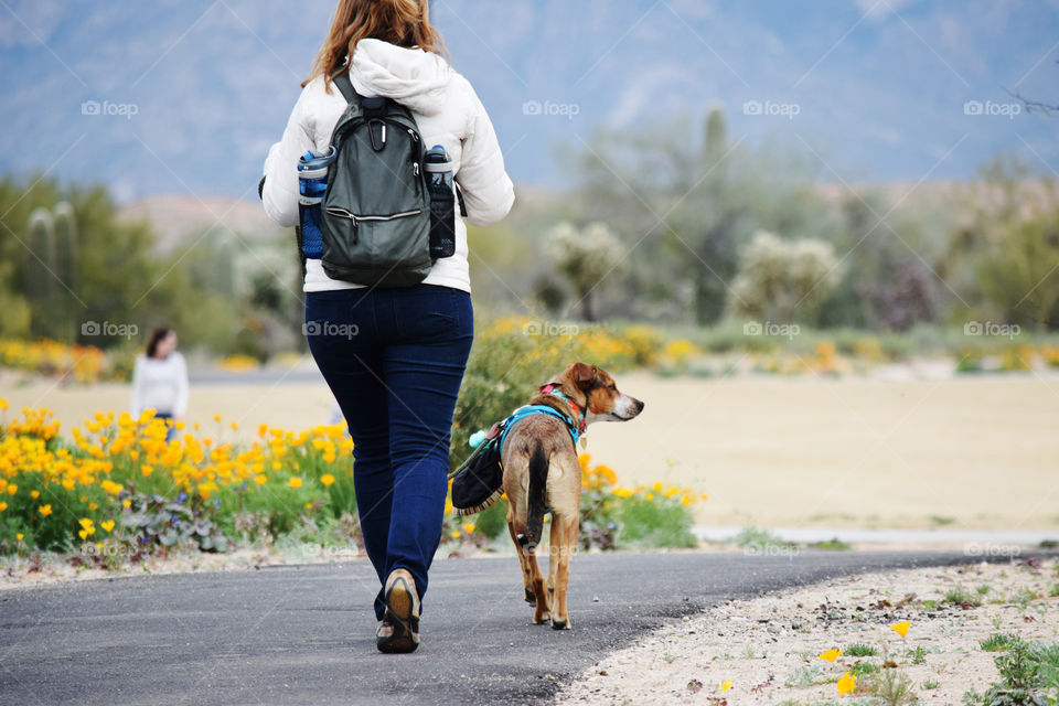 Dog, Action Energy, Woman, Nature, Fun