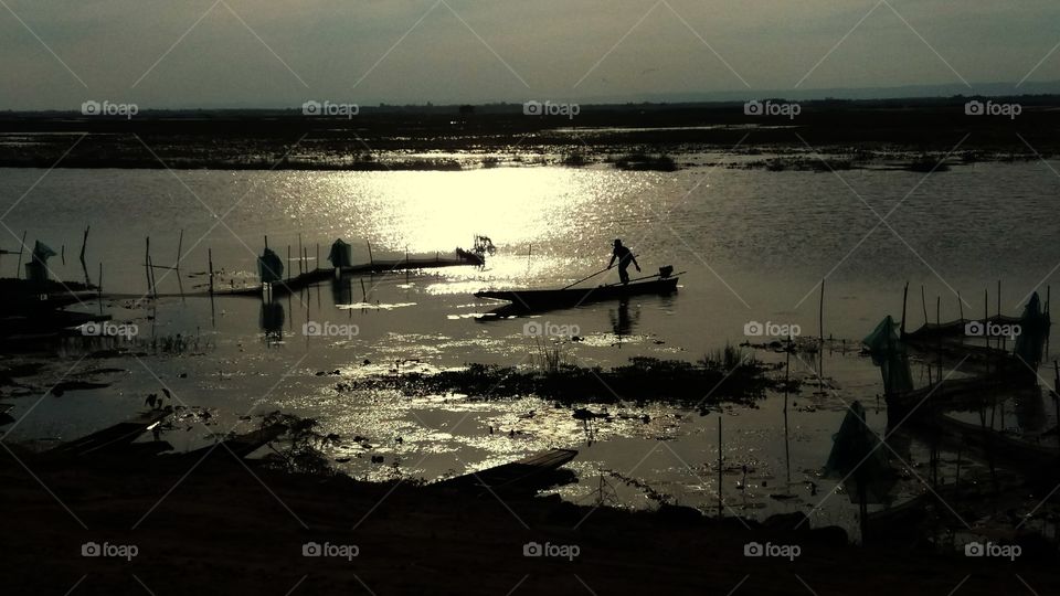 Catch fish in the swamp