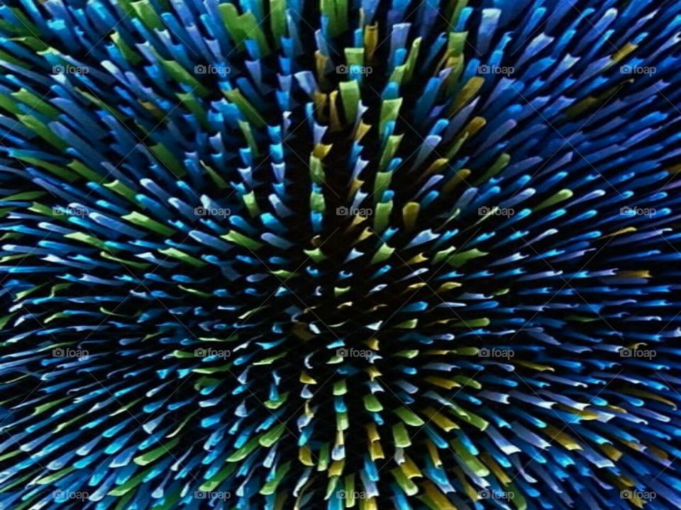 computer display image