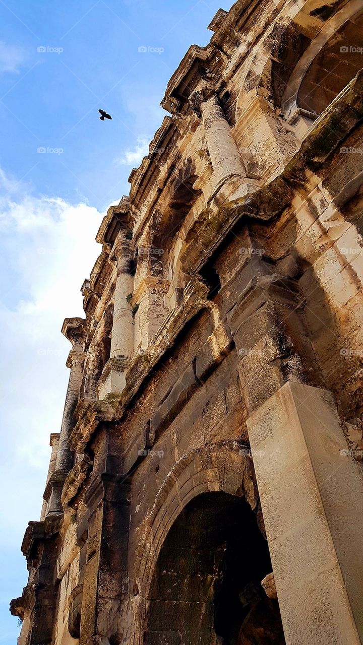 Facade of Nîmes Arena and bird flying over