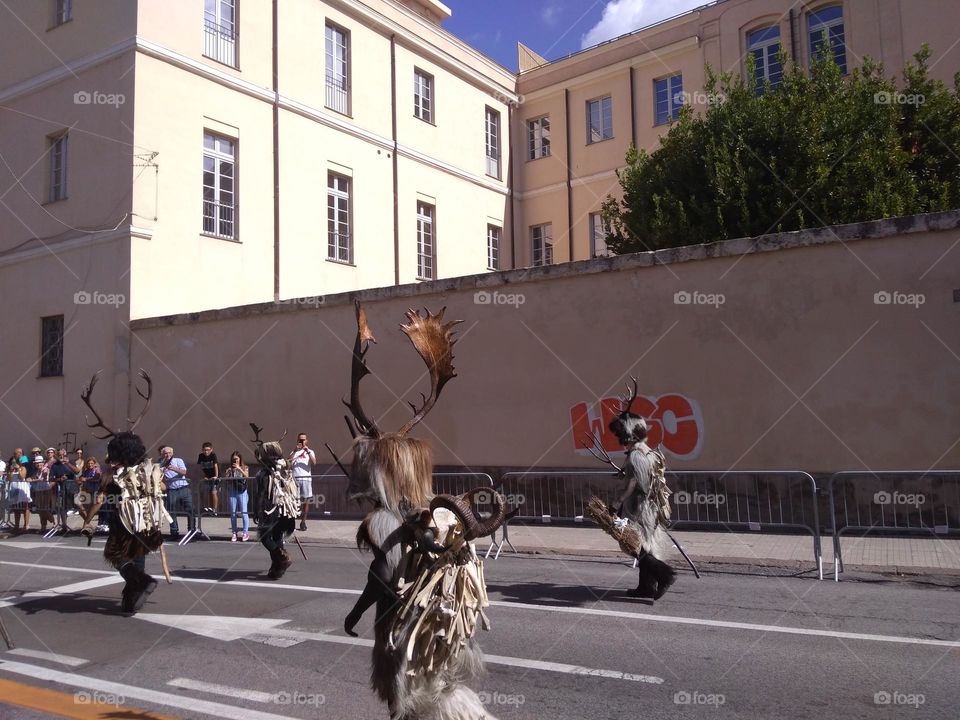 Editors' Choice - Photo of the Week