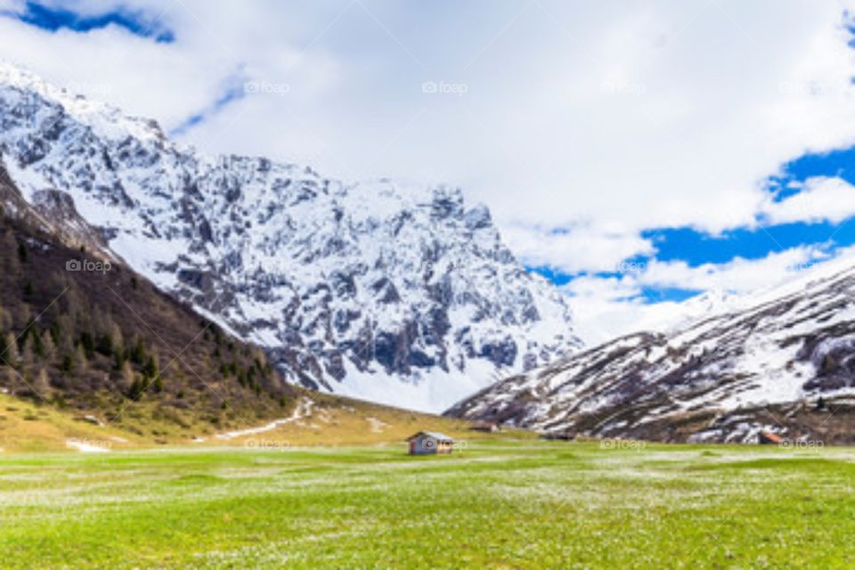 snow on the mountain