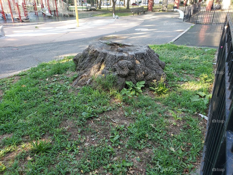 life after death, legacy