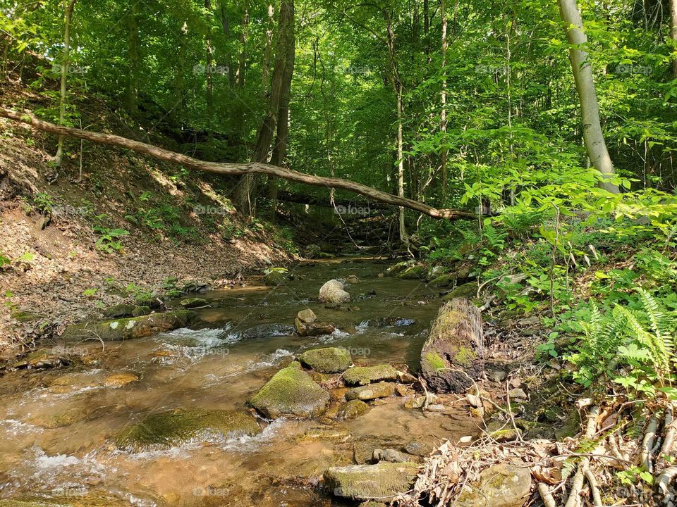 Dunbar Mountains Pennsylvania