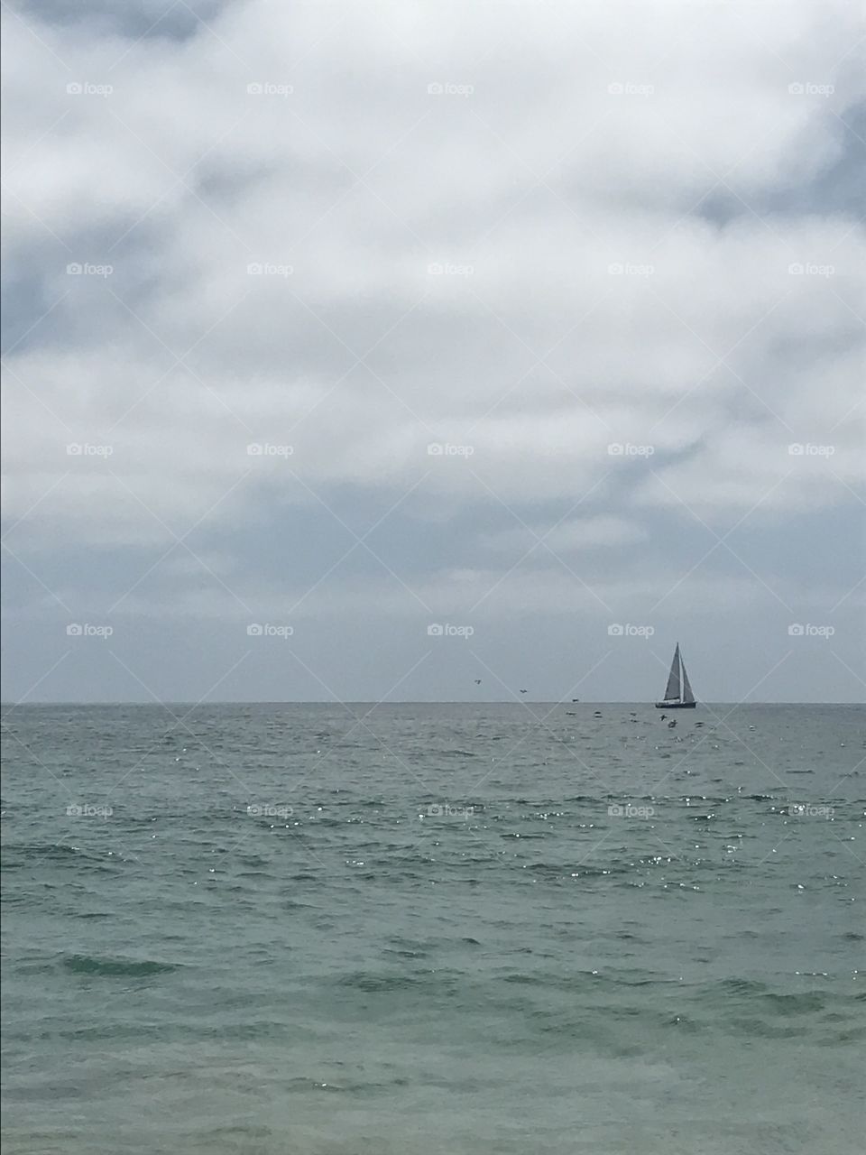 One single sail boat on the water