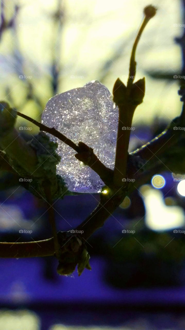 diamond in the rough