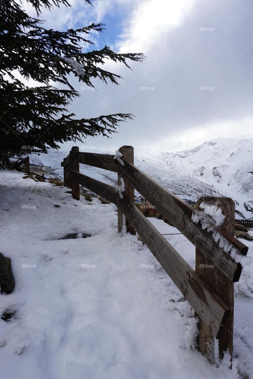 Snow#wood#tree#view