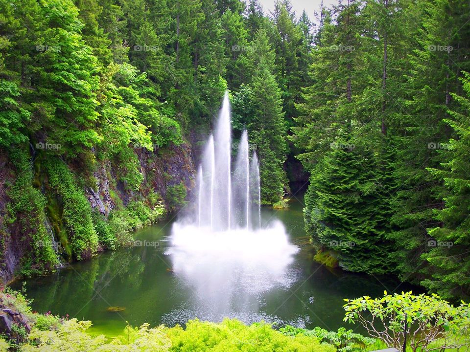 Fountains in Victoria, British Columbia, Canada, Gardens 