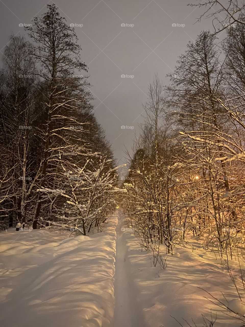 Snow path in the forest by night 