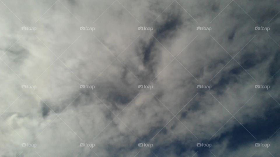 hawk shaped clouds