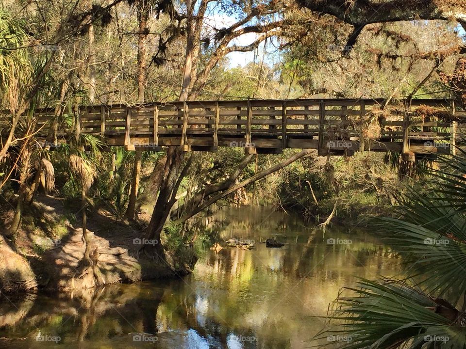 Wooden suspension bridge over a river surrounded by trees