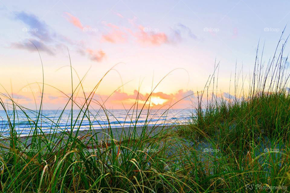 Hobe Sound sunrise. National wildlife preserve,  Hobe Sound,  Florida