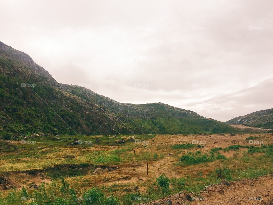 Tundra landscape 