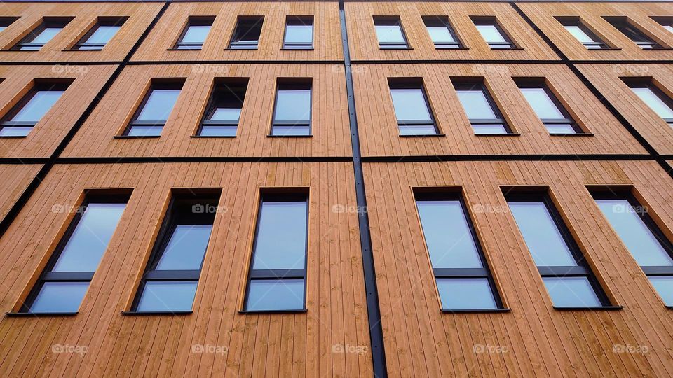 Windows 🪟 Wooden 🪟 Architecture 🪟