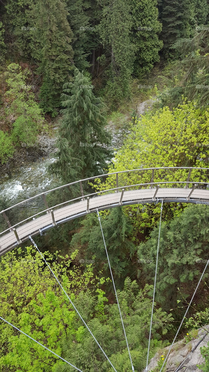 Adventure awaits in the treetops of Vancouver.