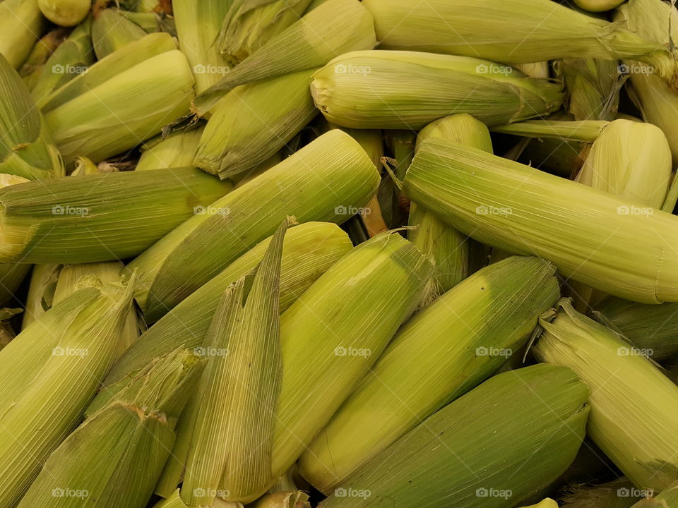 corn