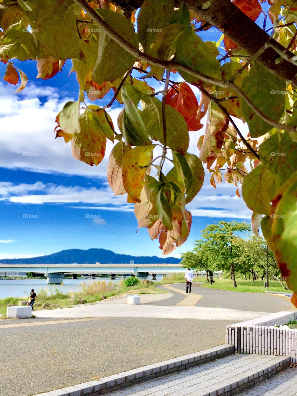 beautiful autumn afternoon