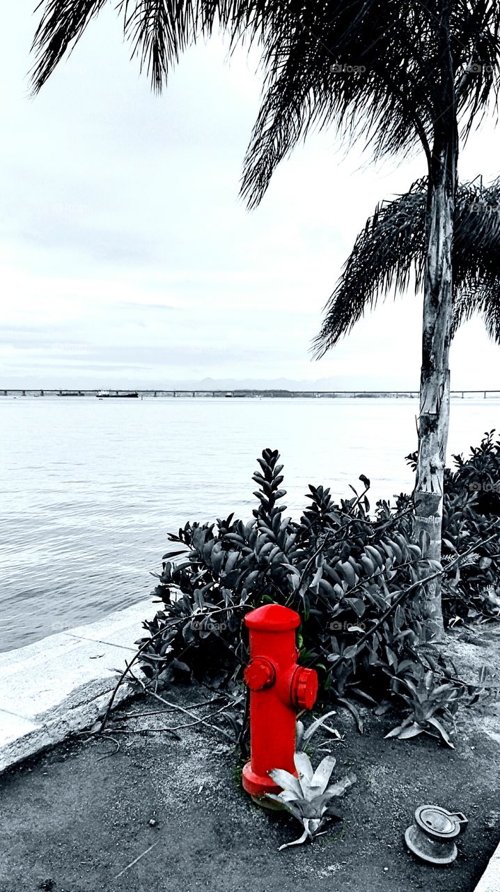 [AV] Boulevard Olímpico