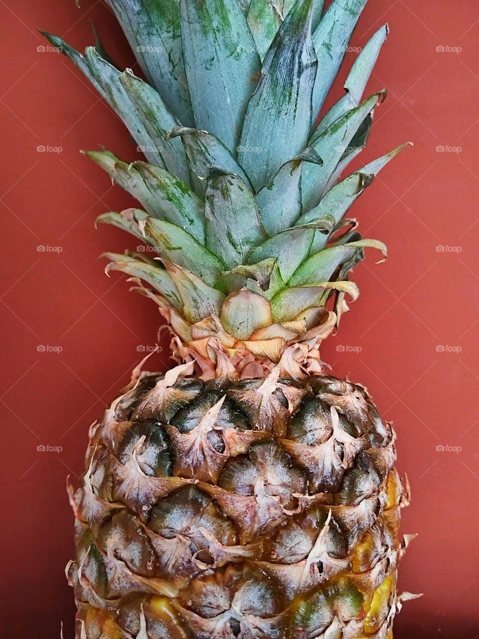 Pineapple