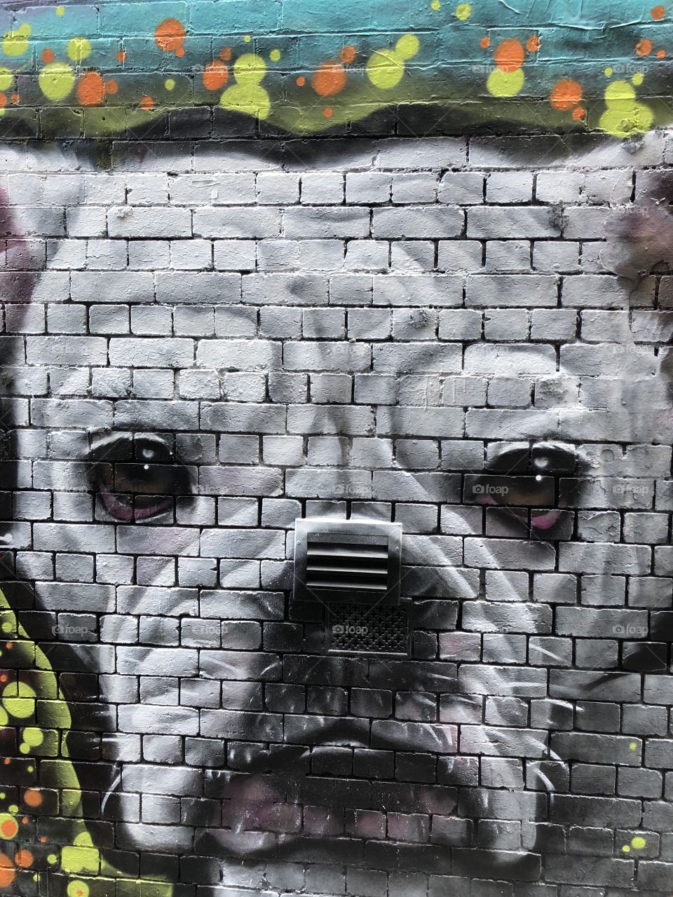 Graffiti art dog 