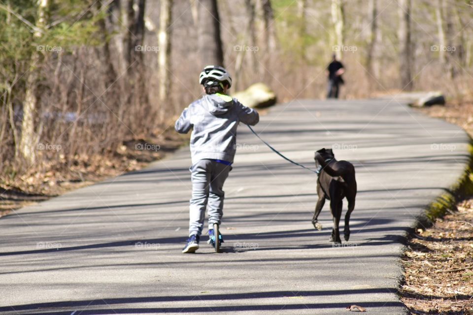 Spring time with your dog 