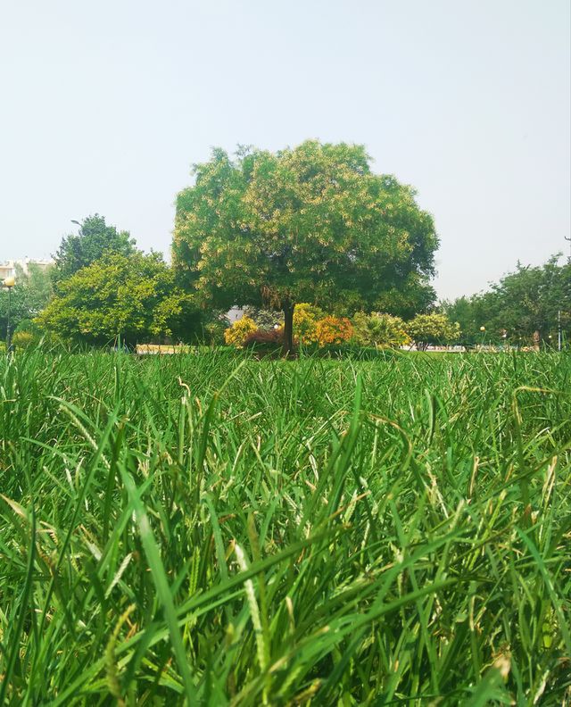 True nature, no filters