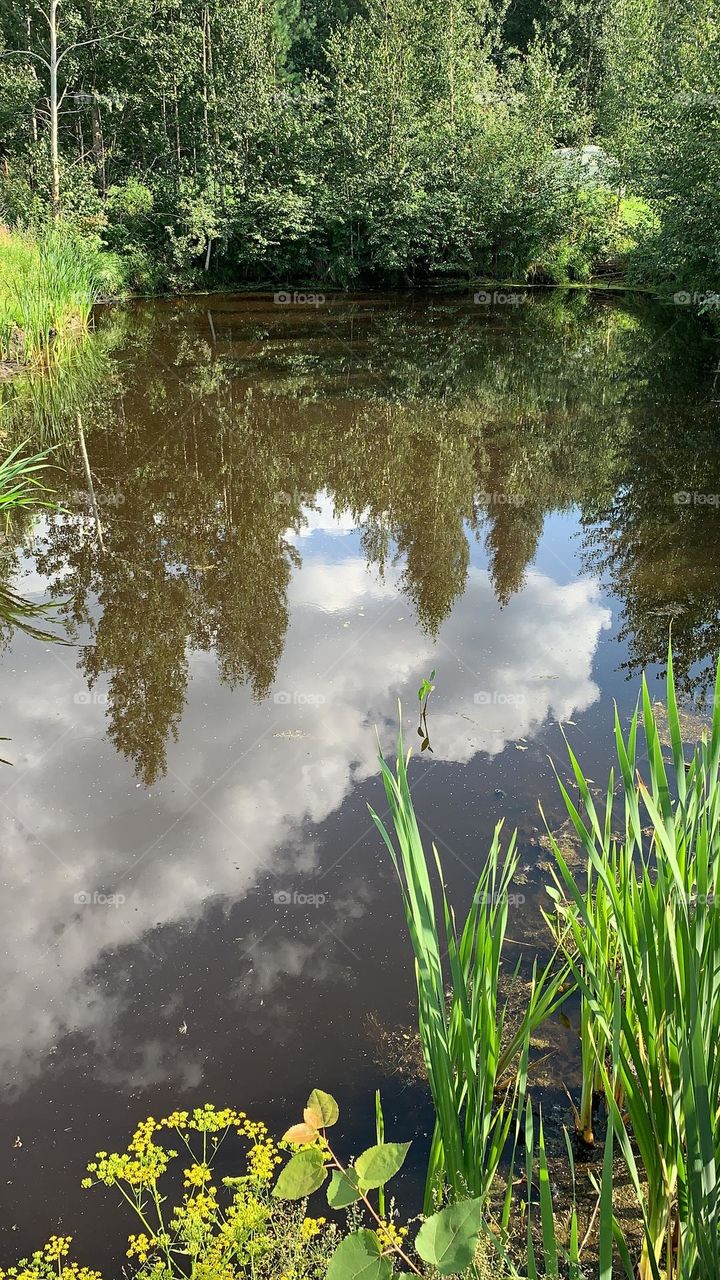 nature season summer lake t sky reflection in water