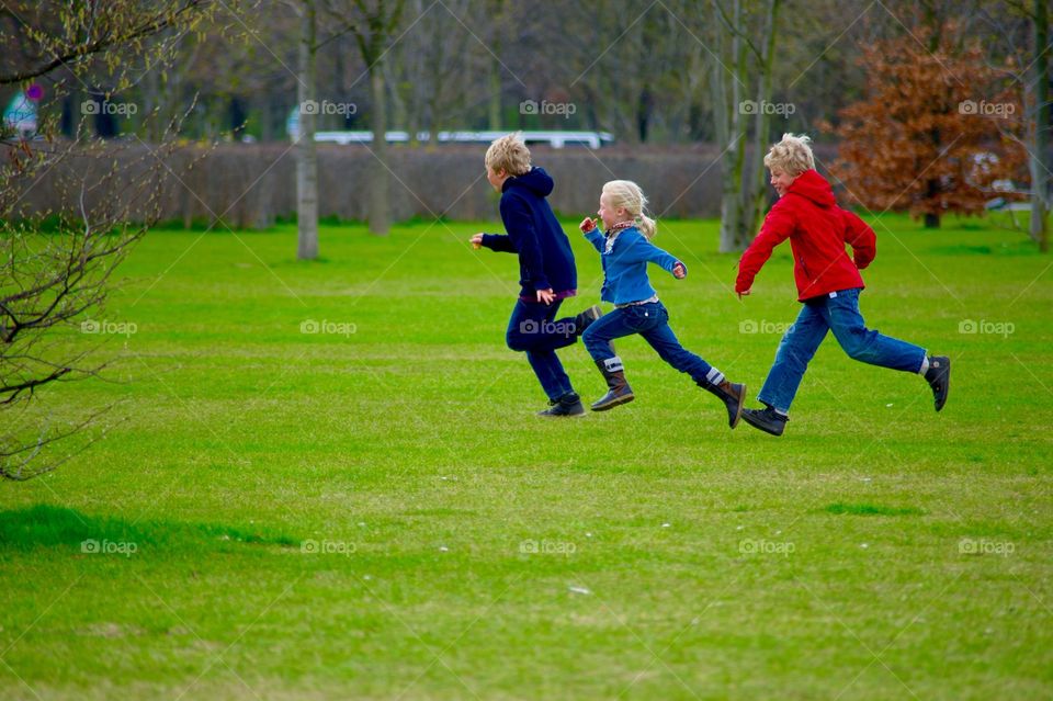 Soccer, Grass, Football, Ball, Competition