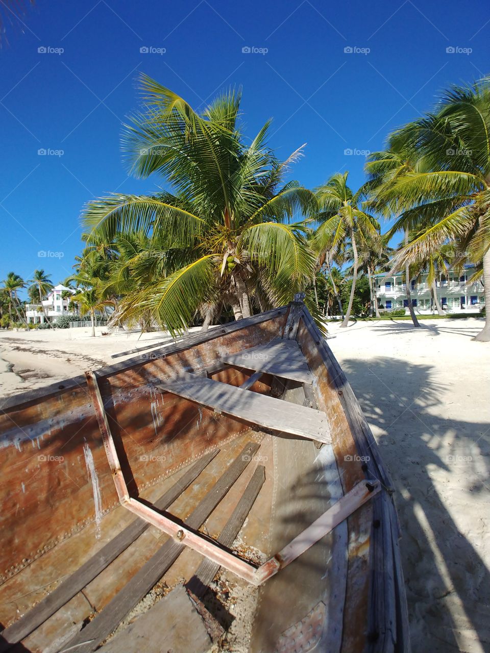 Paradise in the Keys