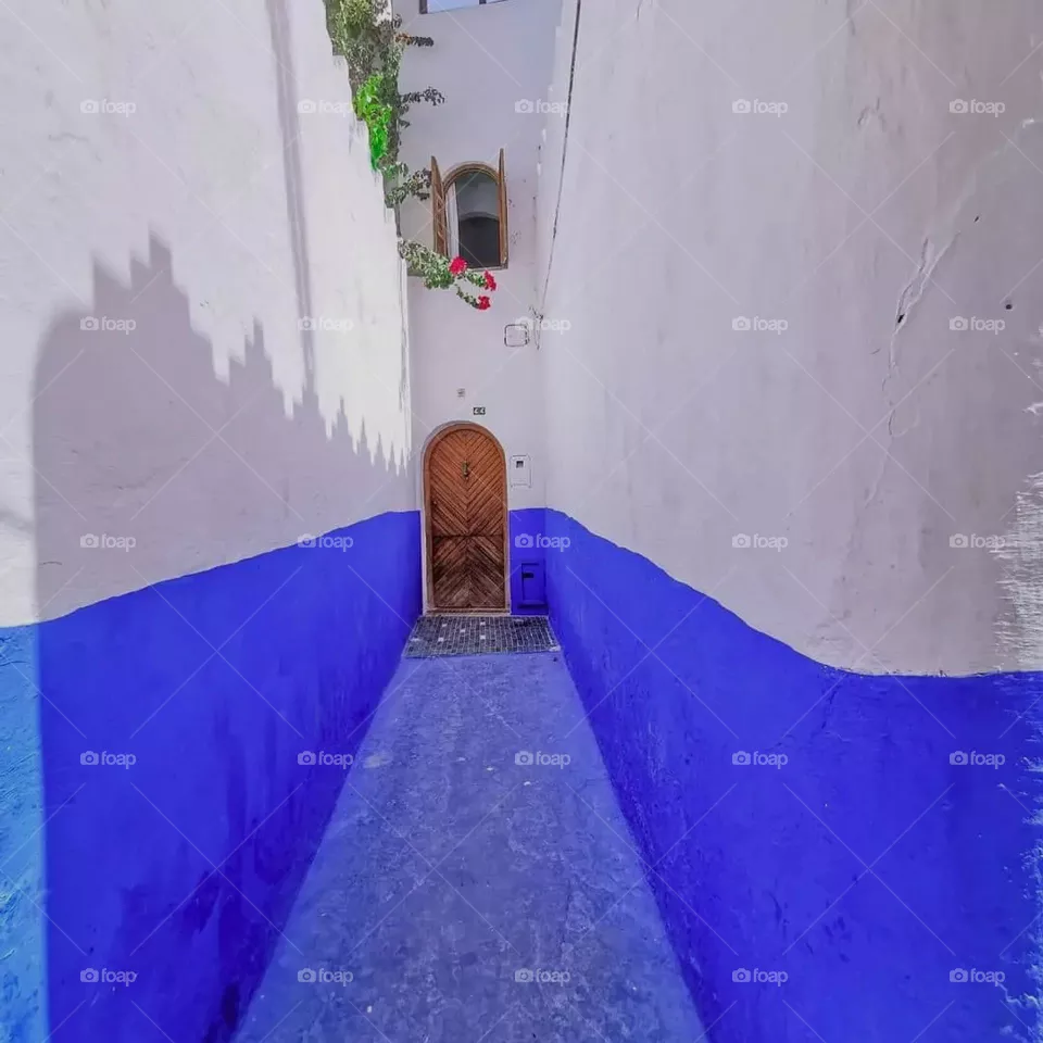 blue vs white